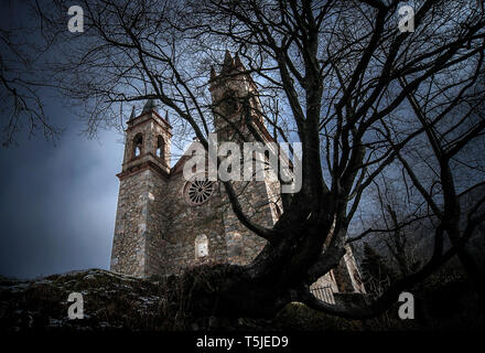 Medieval castle romanic with old dead tree Stock Photo