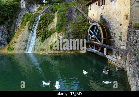 Ancient watermill wheel, Molinetto della Croda in Lierza valley. Refrontolo. Province of Treviso. Italy Stock Photo