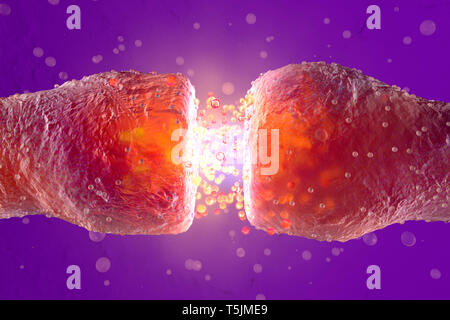 3D Rendered Illustration, visualisation of neurons firing neurotransmitters in the synaptic gap Stock Photo