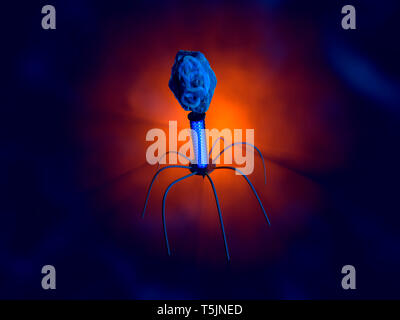 3D Rendered Illustration of a anatomically correct convergence to a ...