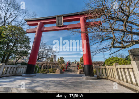 Ten Man Tree Kameido Tenjin Shrine and Tokyo Sky Tree in Autumn Stock Photo - Alamy