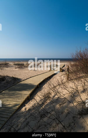 New wooden road leading from the beach dune forest with pines and white sent to the Baltic Sea gulf - Vecaki, Latvia