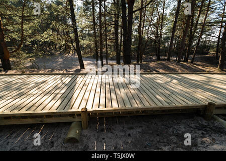 New wooden road leading from the beach of Baltic Sea gulf with white sand to the dune forest with pine trees
