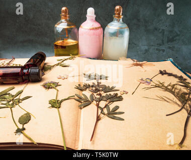 Still life, health and beauty, spa concept. Dry flowers oil on a old paper book. Selective focus, beauty and spa Stock Photo