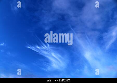 Beautiful white cirrus clouds high in a deep blue sky Stock Photo