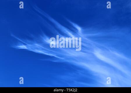 Beautiful white cirrus clouds high in a deep blue sky Stock Photo
