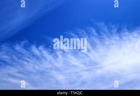 Beautiful white cirrus clouds high in a deep blue sky Stock Photo