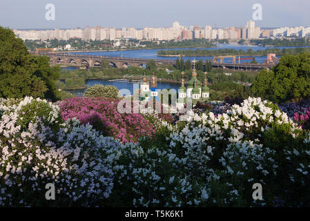 City of Kiev (Kyiv) - capital of Ukraine. Botanical Garden with blossoming lilac bushes. View of the Vydubychi Monastery and the River Dnieper. Sunny  Stock Photo