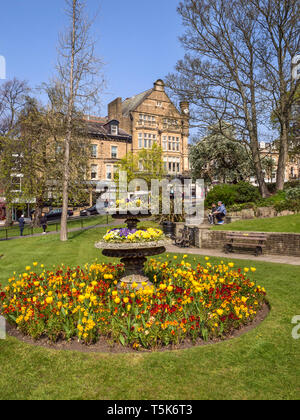 Spring flowers in Montpellier Gardens with Bettys behind in Harrogate Yorkshire England Stock Photo