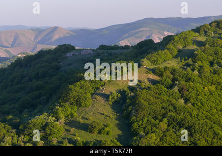 Green beech forest on the hills. Summer landscape in the mountains. Sunny evening Stock Photo