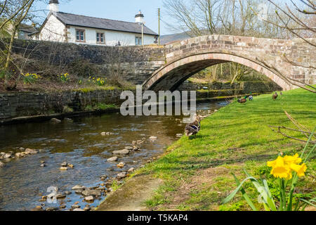 Dunsop Bridge in the Forest of Bowland, Lancashire,UK Stock Photo