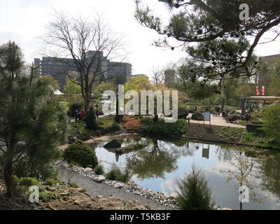 View of the lake and rock garden on a sunny spring day at the Utrecht Botanic Gardens with buildings at the University Science Park in the distance Stock Photo