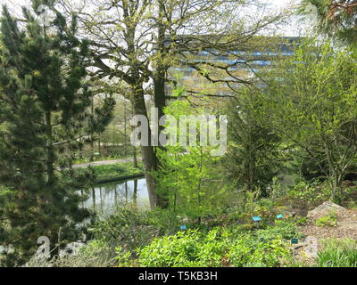 View of the lake and rock garden on a sunny spring day at the Utrecht Botanic Gardens with buildings at the University Science Park in the distance Stock Photo