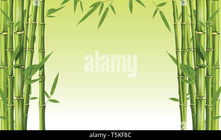 Bamboo frame with blank space - green bamboo stems with leaves, background Stock Vector