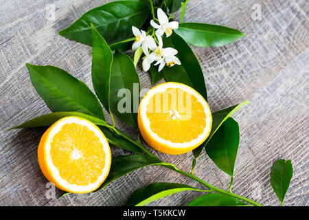 Juicy Orange cut in two parts and neroli, flowers of orange tree, on rustic wood background. The Orange blossom is the fragrant flower of the Citrus i Stock Photo