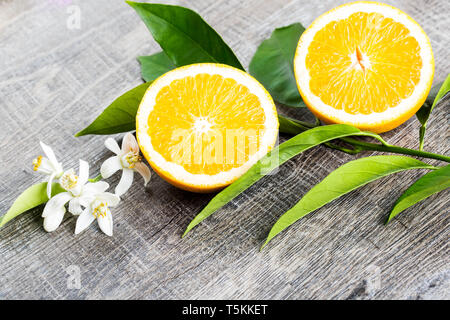 Juicy Orange cut in two parts and neroli, flowers of orange tree, on rustic wood background. The Orange blossom is the fragrant flower of the Citrus i Stock Photo