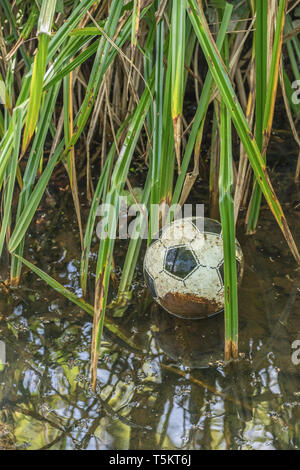 Slightly deflated plastic football lost in a drainage ditch. Missing ball, lost football. In among the weeds metaphor, game abandoned. Stock Photo