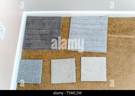 Assortment of carpet samples laid out over old, dirty carpet in a house, ready to decide on new flooring Stock Photo