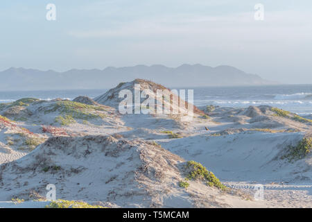 The sand dunes of Magdalena Island, Baja California Sur, Mexico. Stock Photo