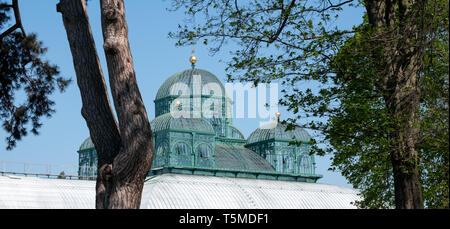 The Royal Greenhouses at Laeken, home of the Belgian royal family, composed of a complex of a number of greenhouses including the Congo Greenhouse. Stock Photo