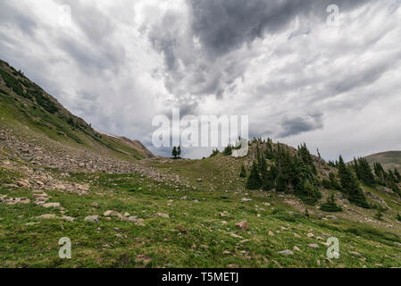 Landscape in Colorado Stock Photo