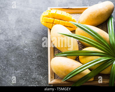 Several Fresh sweet yellow Thai mangoes on a wooden tray on a gray background. Copy space. Top view Stock Photo
