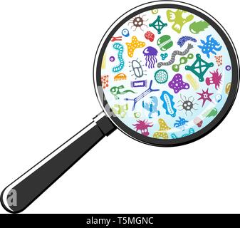 Bacterial microorganism through magnifying glass. Bacteria and germs, micro-organisms, bacteria, viruses, fungi, protozoa under the rejuvenating glass Stock Vector
