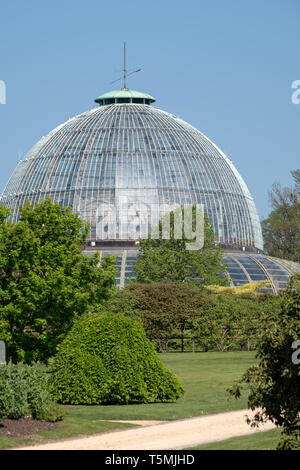 The Royal Greenhouses at Laeken, composed of a complex of a number of greenhouses. The Castle of Laeken is home to the Belgian royal family. Stock Photo