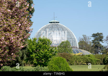 The Royal Greenhouses at Laeken, composed of a complex of a number of greenhouses. The Castle of Laeken is home to the Belgian royal family. Stock Photo