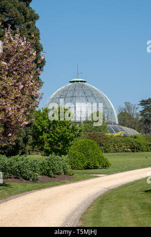 The Royal Greenhouses at Laeken, composed of a complex of a number of greenhouses. The Castle of Laeken is home to the Belgian royal family. Stock Photo