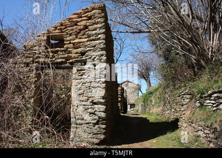 stone sight as part of a destroyed and uninhabited house, attacked by the green of the vegetation Stock Photo