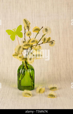 Spring still life with goat willow branches in a glass vase Stock Photo