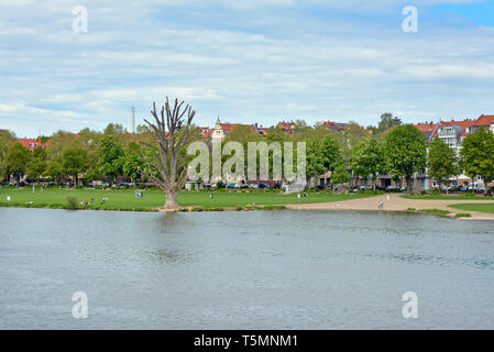 View over lower Neckar river bank with big meadow called 'Neckarwiese' as popular meeting point for people in spring and summer Stock Photo