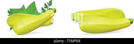 Zucchini isolated on background. Squash whole. Fresh vegetable marrow isolated. Oblong, green squash. Vegetable marrow courgette or zucchini. Harvest  Stock Vector
