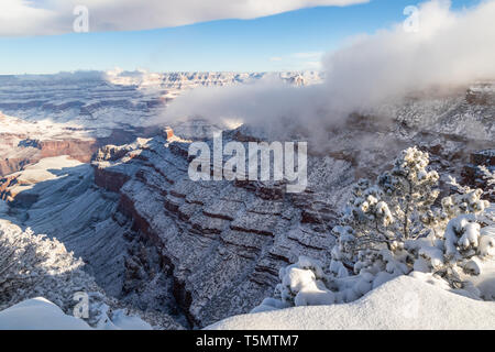 Grand Canyon in winter, viewed from the South Rim. Snow covers the canyon walls. Clouds clinging to the canyon, and overhead in the blue sky. Stock Photo