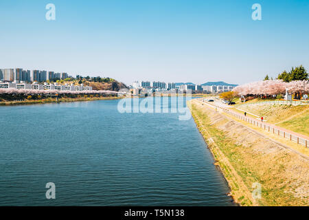 Dongchon riverside park and modern apartment buildings at spring in Daegu, Korea Stock Photo