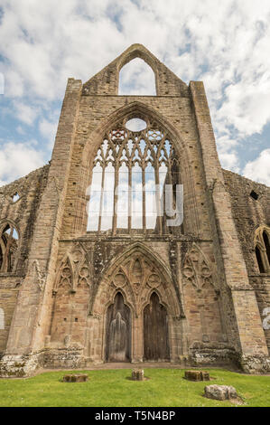 The restored ruins of Tintern Abbey, Monmouthshire, Wales, UK Stock Photo