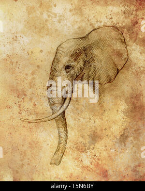 drawing of an elephant, profile drawing with lines and shades. Stock Photo