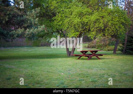 Bench with table under the tree in summer day Stock Photo