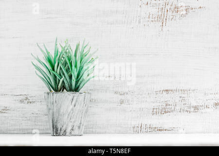Loft style potted plant on shelf in front of grunge white wooden wall. View with copy space. Office workplace with a potted green plant, Minimalist pl Stock Photo