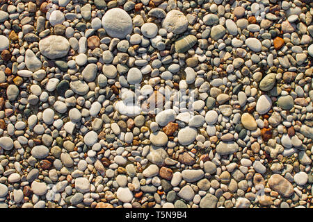 texture of small sea pebbles and stones Stock Photo