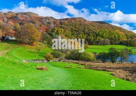Loughrigg Tarn Elterwater, Lake District National Park, Cumbria, England, UK, Europe. Stock Photo