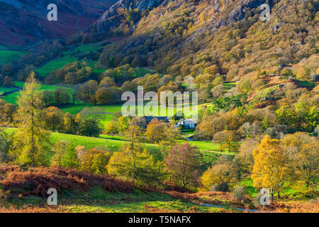 A view from Tarn Hows Intake towards The Old Man of Coniston, Lake District National Park, Cumbria, England, United Kingdom, Europe. Stock Photo