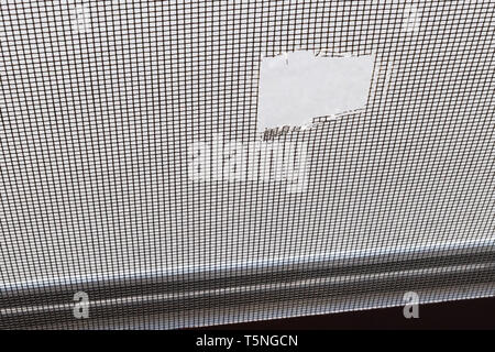 Closeup of a damaged mosquito screen. Stock Photo