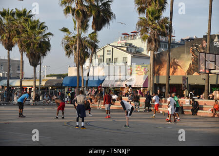 LOS ANGELES, CA/USA  - November 17, 2018: Bodybuilders and tourists at the world famous Muscle Beach in Venice California The basketball courts on the Stock Photo