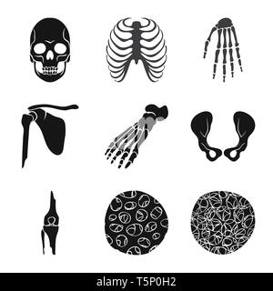 rib,wrist,foot,osteoporosis,cage,hand,ankle,cell,xray,calcium,healthy ...