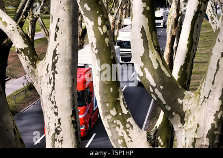 Trucks and cars drive between plane trees of the old tree avenue of the federal highway No.1 (Ruhrschnellweg) in the urban area of Dortmund, Germany.   ---   Lastwagen fahren zwischen Plantanen der alten Baumallee auf der Deutschen Alleenstraße der Bundesstraße 1 Ruhrschnellweg im Stadtgebiet von Dortmund, Deutschland. Stock Photo