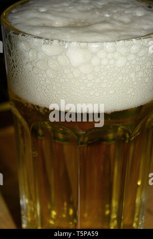 close up of full glass of fresh beer with white foam bubbles, perfect poured beer in glass Stock Photo