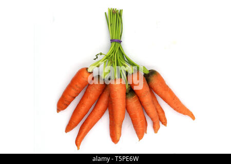A bunch of healthy and fresh baby carrots isolated on black background. Stock Photo