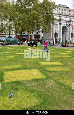 Marble Arch, London, UK. 26th April 2019. Yellow patches of grass after the Extinction Rebellion tents protesters have left. Credit: Matthew Chattle/Alamy Live News Stock Photo